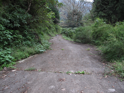 20181016hike (255)